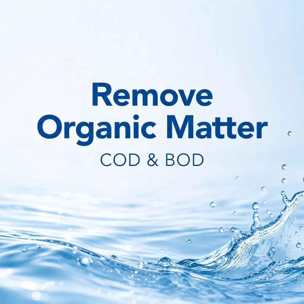 Remove Organic Matter COD BOD